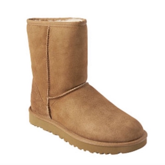 Medium Ugg Boots - Picture 1 of 3